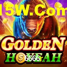 Programa VIP 6666r